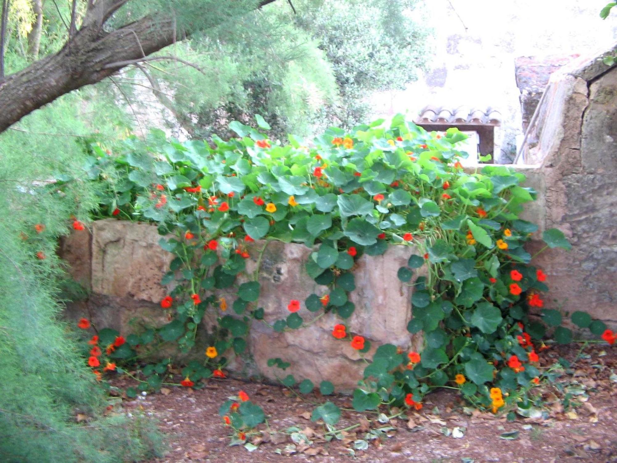 Agroturismo Finca Sant Blai 캄포스 외부 사진