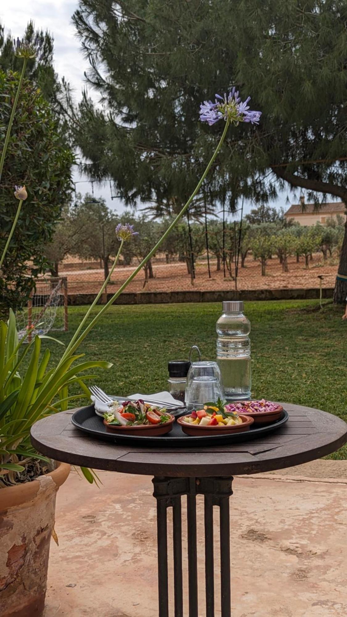 Agroturismo Finca Sant Blai 캄포스 외부 사진