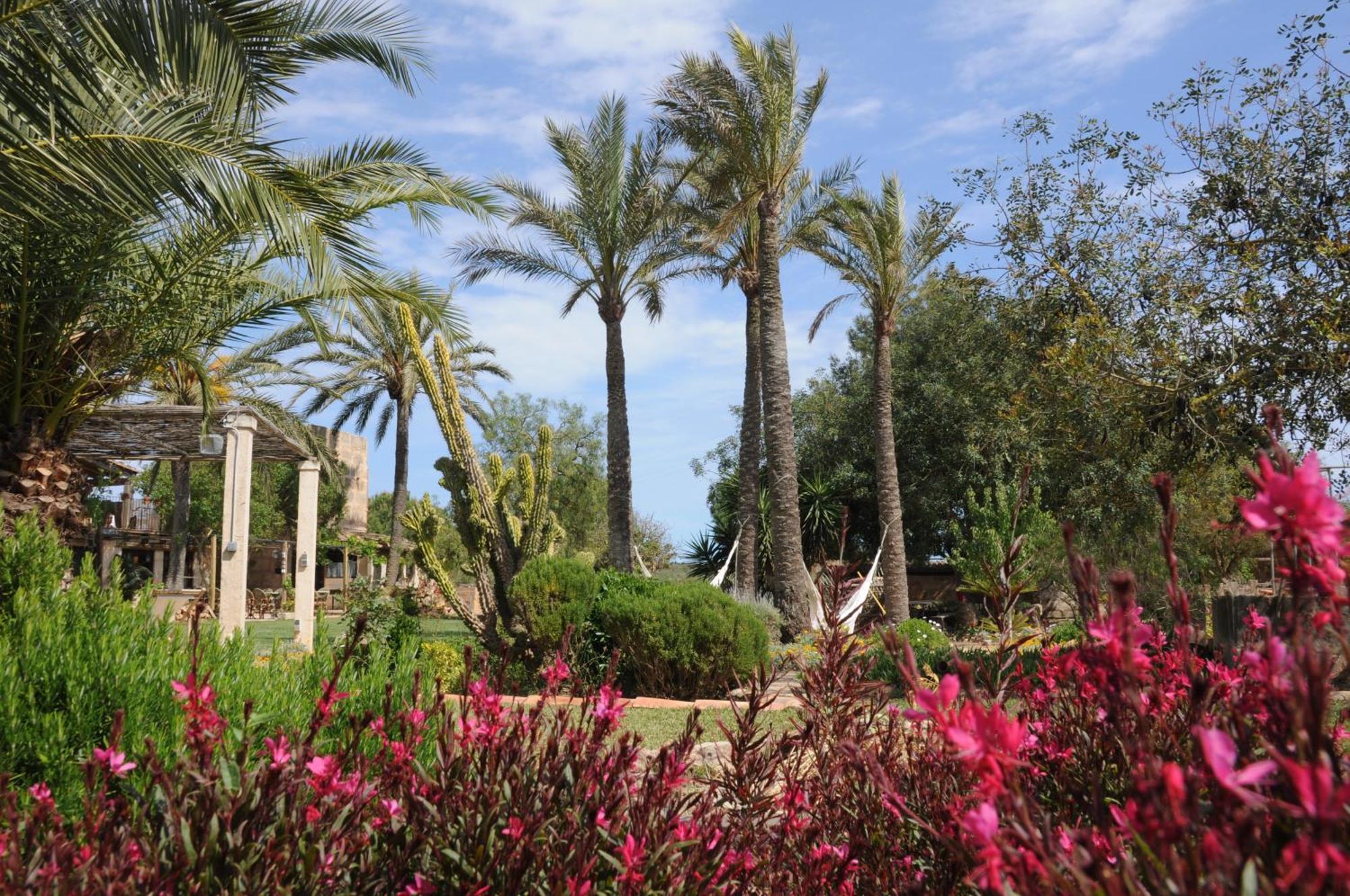 Agroturismo Finca Sant Blai 캄포스 외부 사진