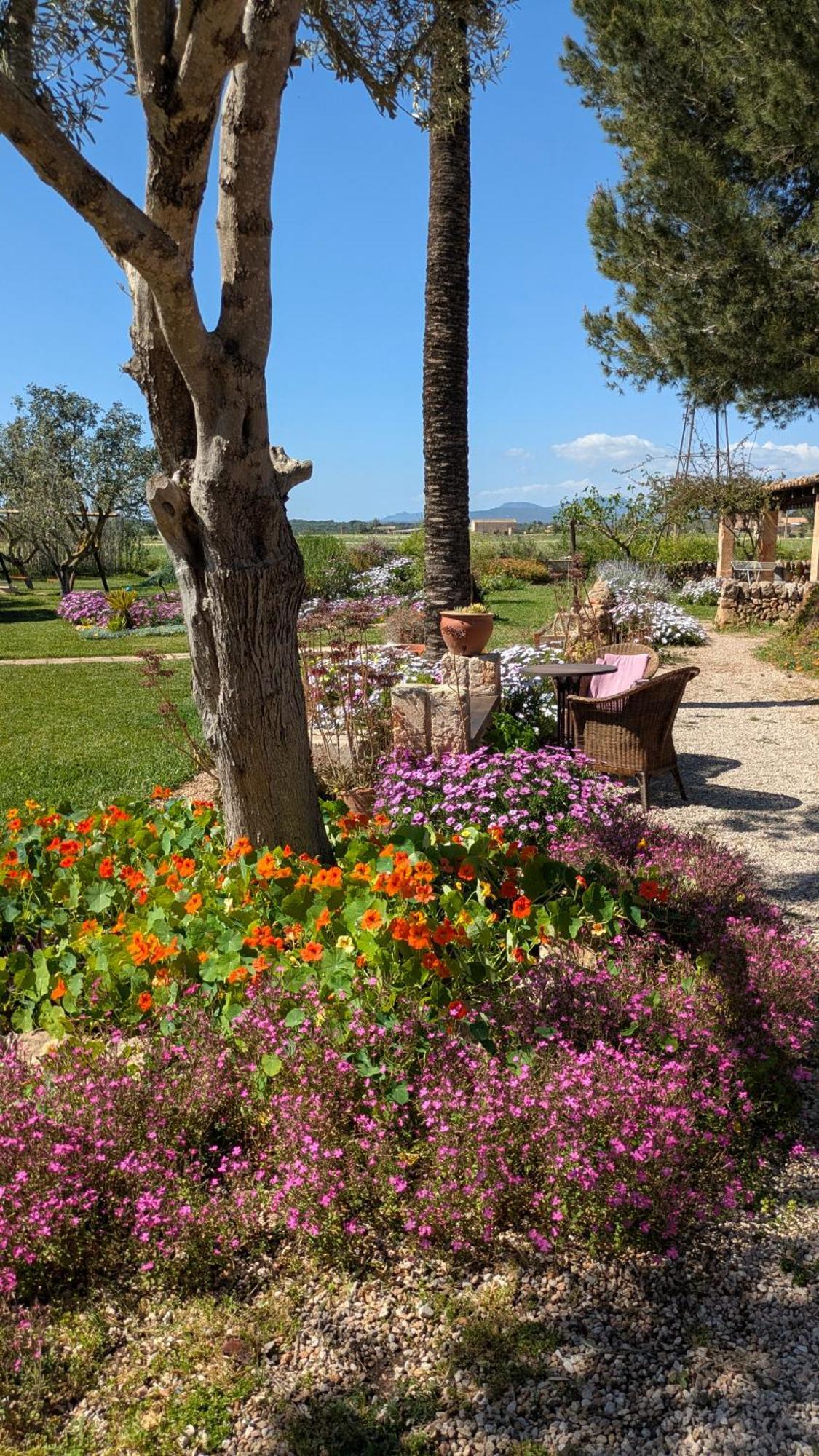 Agroturismo Finca Sant Blai 캄포스 외부 사진
