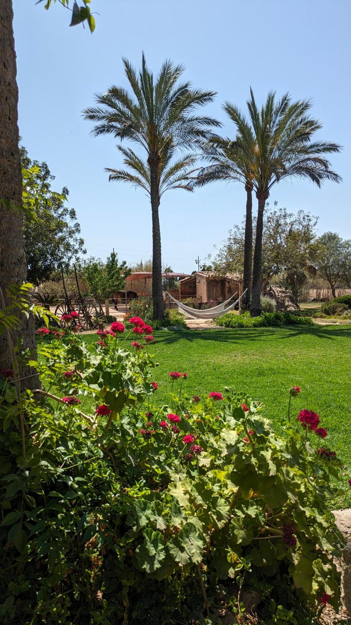 Agroturismo Finca Sant Blai 캄포스 외부 사진