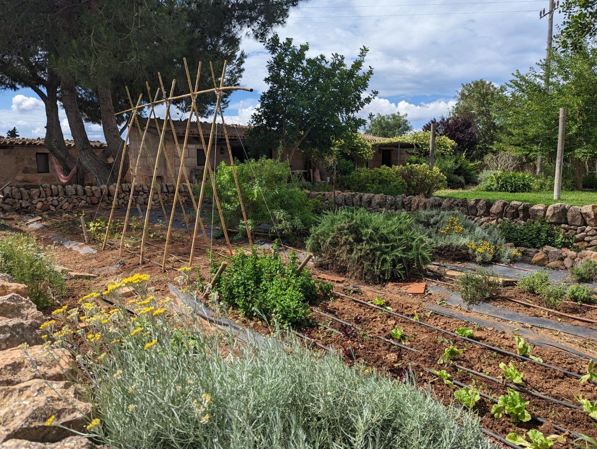Agroturismo Finca Sant Blai 캄포스 외부 사진