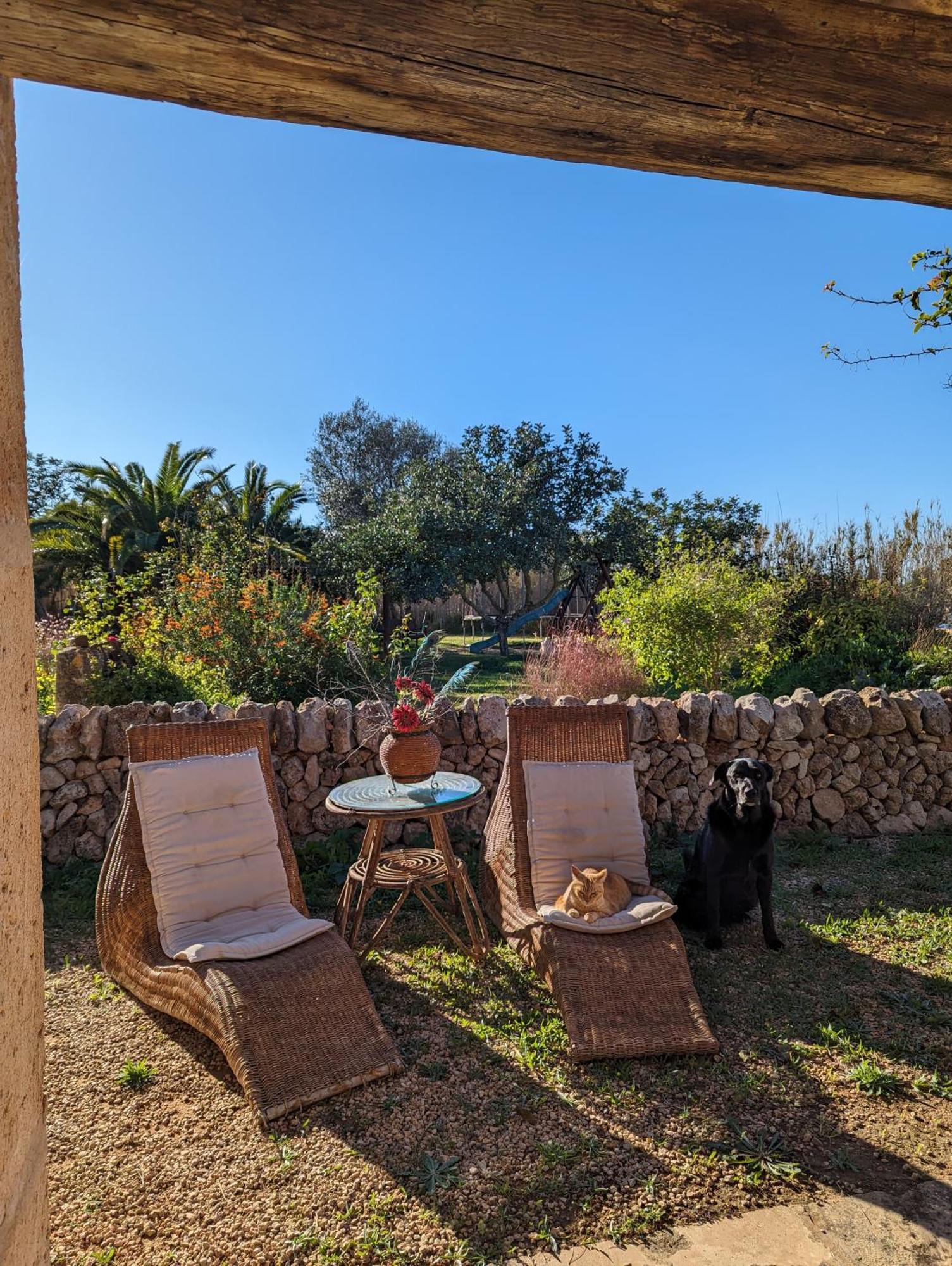 Agroturismo Finca Sant Blai 캄포스 외부 사진