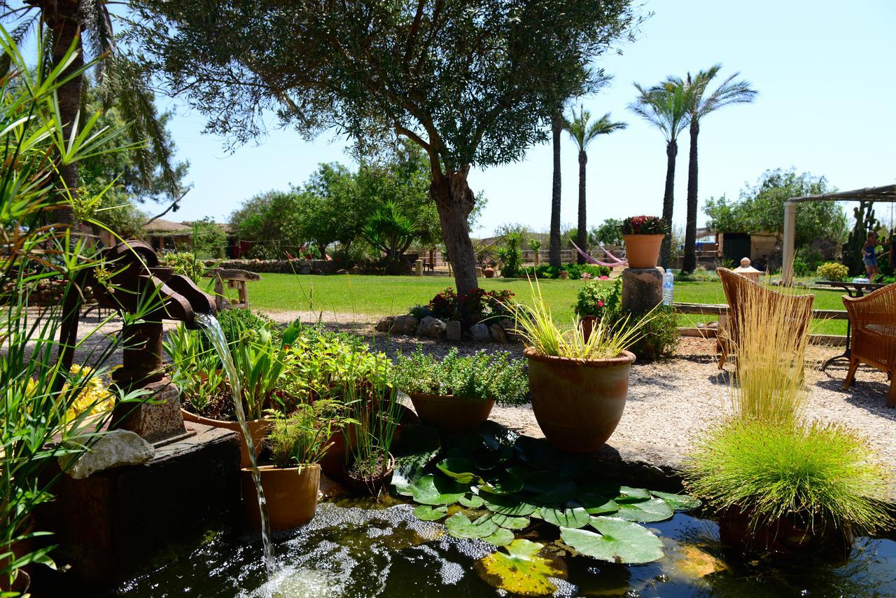 Agroturismo Finca Sant Blai 캄포스 외부 사진